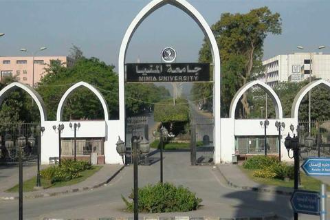 جامعة المنيا في مصر
