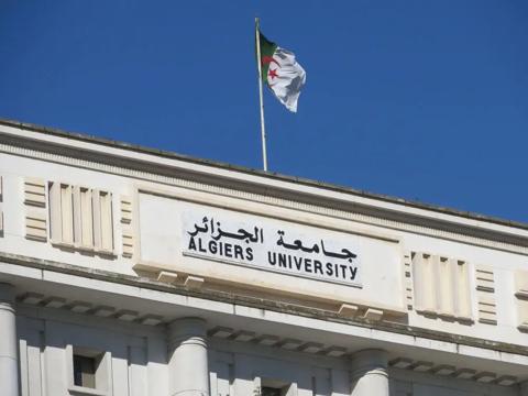 أفضل التخصصات الجامعية في الجزائر