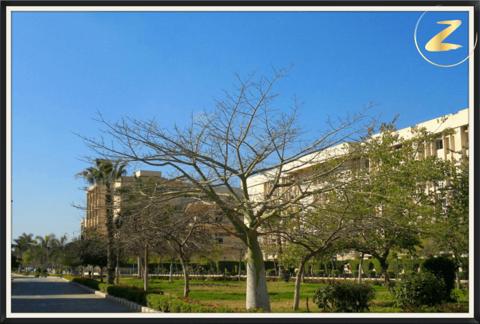 جامعة الزقازيق في مصر