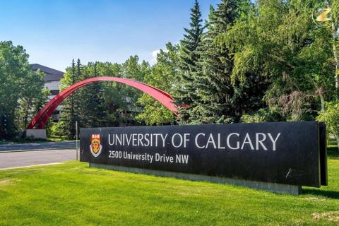 جامعة كالجاري في كندا